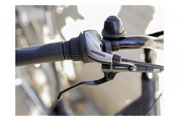 Vélo De Ville Électrique Trek Verve+ 1 Lowstep Shimano Altus 8V 300wh Gris Charcoal 2022 11 Vélo De Ville Électrique Trek Verve+ 1 Lowstep Shimano Altus 8V 300wh Gris Charcoal 2022 – Image 9