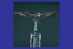 VTC Électrique Riverside 500 E Panaché 8V 418 Wh Vert 2021 10 VTC Électrique Riverside 500 E Panaché 8V 418 Wh Vert 2021 -Magasin Vélos de Ville unnamed file 2001