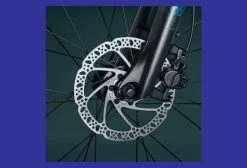 VTC Électrique Riverside 500 E Panaché 8V 418 Wh Vert 2021 12 VTC Électrique Riverside 500 E Panaché 8V 418 Wh Vert 2021 -Magasin Vélos de Ville unnamed file 2003