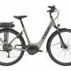 Vélo De Ville Électrique Trek Verve+ 2 Lowstep Shimano Altus 9V 300wh Matt Gunmetal 2020