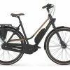 Vélo De Ville Électrique Gazelle Citygo C7 HMS L28 T7 Shimano Nexus 7V 418 Wh Noir/Marron 2021 Noir / Marron -Magasin Vélos de Ville unnamed file 2146