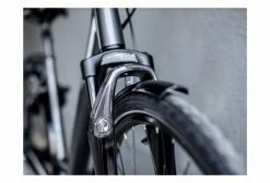 Vélo De Ville Trek District 2 Lowstep Equipped Shimano Nexus 7V Lithium Grey 2021 -Magasin Vélos de Ville unnamed file 2154