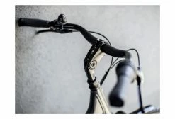 Vélo De Ville Trek District 2 Lowstep Equipped Shimano Nexus 7V Lithium Grey 2021 -Magasin Vélos de Ville unnamed file 2158