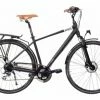 Vélo De Ville Bicyklet Leon Shimano Acera/Altus 8V 700 Mm Noir Mat 2 Vélo De Ville Bicyklet Leon Shimano Acera/Altus 8V 700 Mm Noir Mat -Magasin Vélos de Ville unnamed file 726