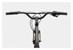 Vélo De Ville Cannondale Treadwell 2 Ltd MicroSHIFT Advent 9V 650b Gris Raw 10 Vélo De Ville Cannondale Treadwell 2 Ltd MicroSHIFT Advent 9V 650b Gris Raw -Magasin Vélos de Ville unnamed file 886