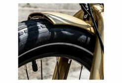 Vélo De Ville Électrique Reine Bike Cadre Bas Connecté Enviolo City CT 504Wh 26'' Or 2022 -Magasin Vélos de Ville unnamed file 989