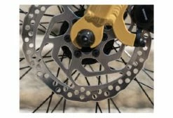 Vélo De Ville Électrique Reine Bike Cadre Bas Connecté Enviolo City CT 504Wh 26'' Or 2022 -Magasin Vélos de Ville unnamed file 991