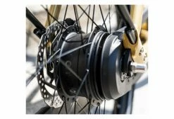 Vélo De Ville Électrique Reine Bike Cadre Bas Connecté Enviolo City CT 504Wh 26'' Or 2022 -Magasin Vélos de Ville unnamed file 992